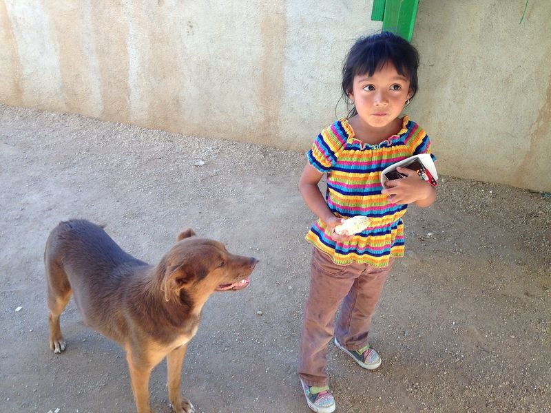 파일:Ensenada12.jpg