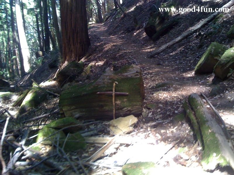 파일:Sanborn 06.JPG